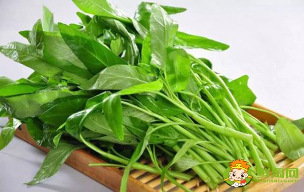 空心菜葉子可以吃嗎，空心菜怎么炒不會變黑