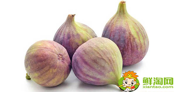 生的無花果能泡水喝嗎,無花果直接吃和泡水喝有什么不同