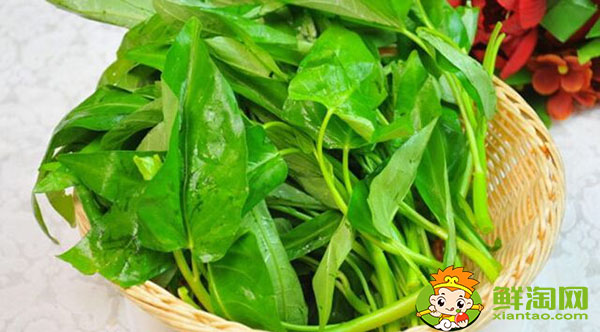 空心菜怎么剝好看又好吃,空心菜怎么煮才能去掉草酸