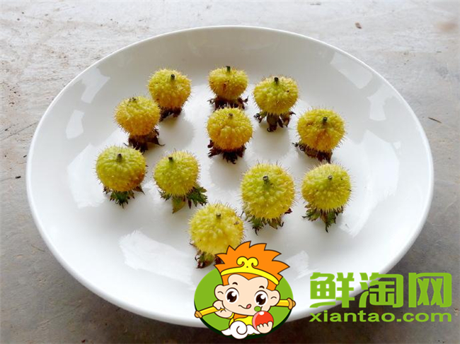 自己可以做刺梨汁嗎,刺梨汁什么時候喝