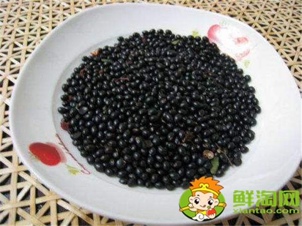 青花椒什么季節成熟，花椒籽什么時候采最適宜