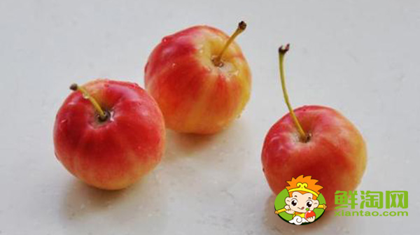 海棠果沒熟青果怎樣吃，沙果哪個地方的好吃