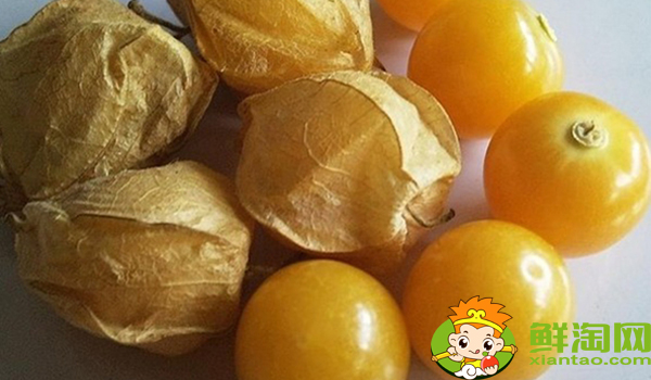 姑娘果一年結(jié)幾次果，姑娘果從開(kāi)花到結(jié)果多久成熟
