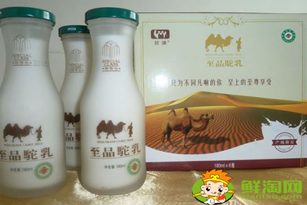 駱駝奶早睌喝還是空腹喝，駱駝奶的功效和作用