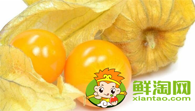 姑娘果和東北姑娘是一個(gè)嗎，東北姑娘果能放多長(zhǎng)時(shí)間