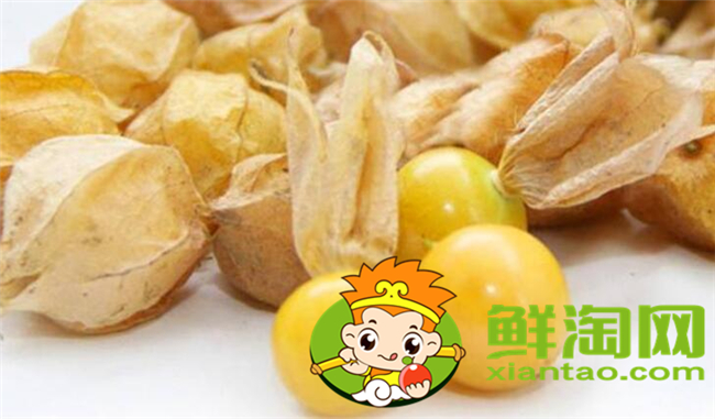 姑娘果和東北姑娘是一個(gè)嗎，東北姑娘果能放多長(zhǎng)時(shí)間