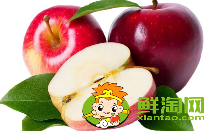 沙果是什么季節(jié)的水果，沙果屬于蘋果嗎