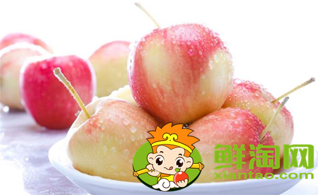 沙果是什么季節(jié)的水果，沙果屬于蘋果嗎