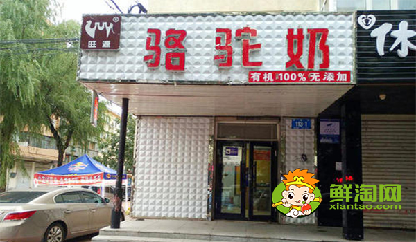 駱駝奶什么味道，駱駝奶和牛奶的營養(yǎng)價值哪個高