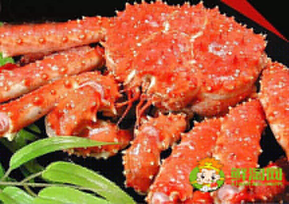 活帝王蟹怎么能養幾天，帝王蟹紅的和藍哪個貴
