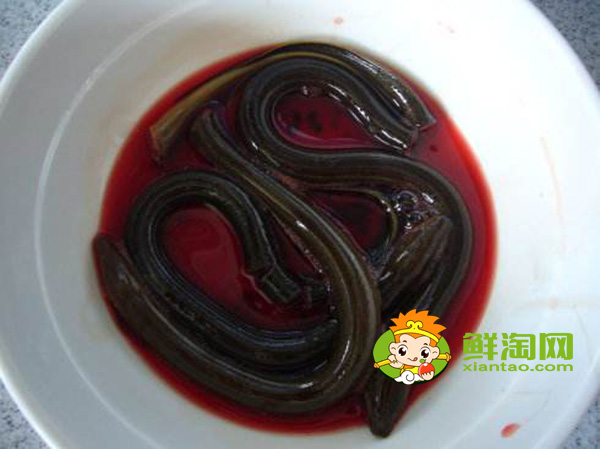 黃鱔血怎么吃最補，黃鱔血泡酒有什么功效