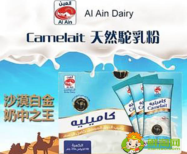 迪拜駱駝奶好喝嗎,哪里能買到好的駱駝奶