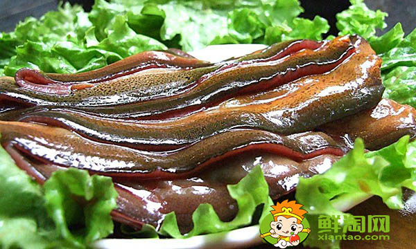 女人吃黃鱔有什么好處，黃鱔的功效與作用