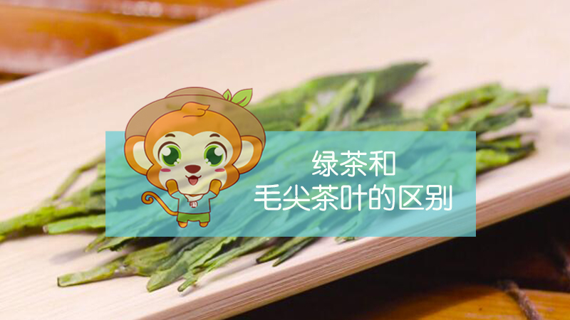 綠茶和毛尖茶葉的區(qū)別