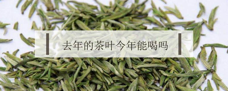去年的茶葉今年能喝嗎