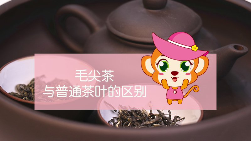 毛尖茶與普通茶葉的區(qū)別
