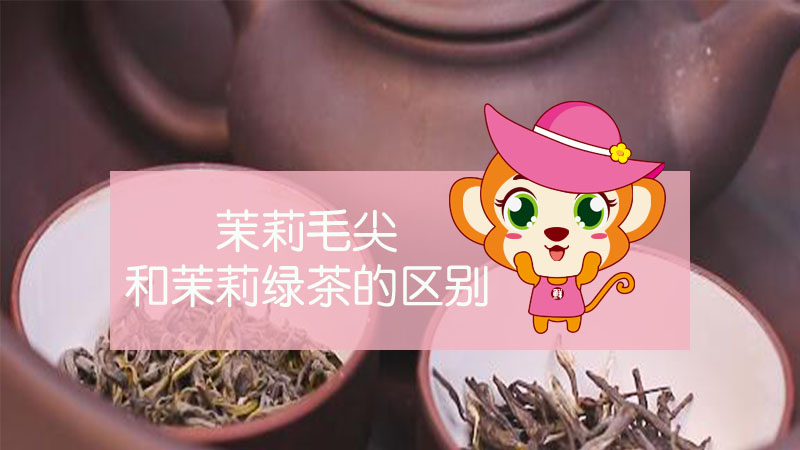 茉莉毛尖和茉莉綠茶的區(qū)別