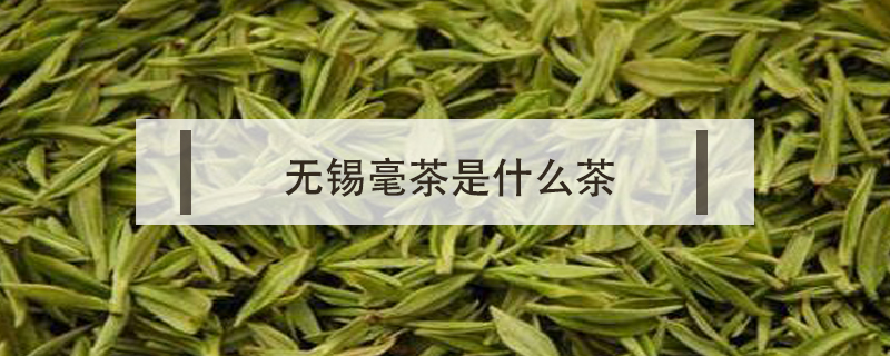 無(wú)錫毫茶是什么茶