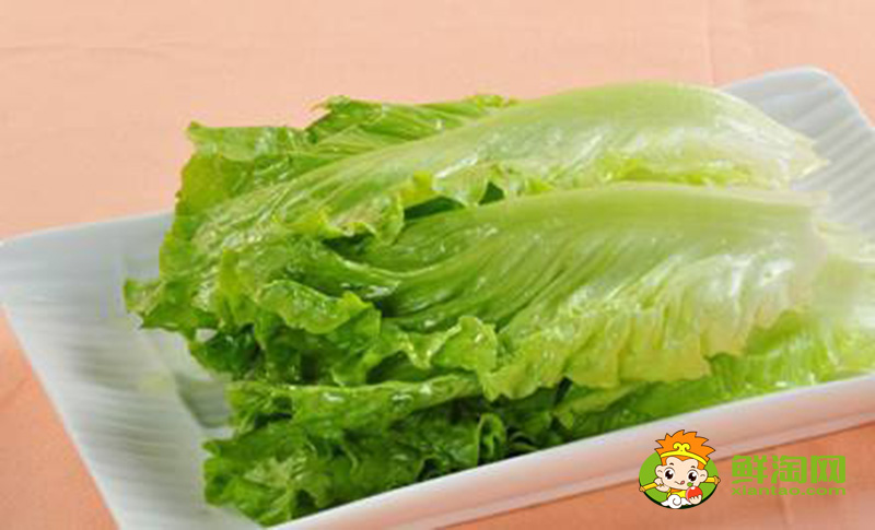 生菜的樣子,結(jié)球生菜和生菜的區(qū)別