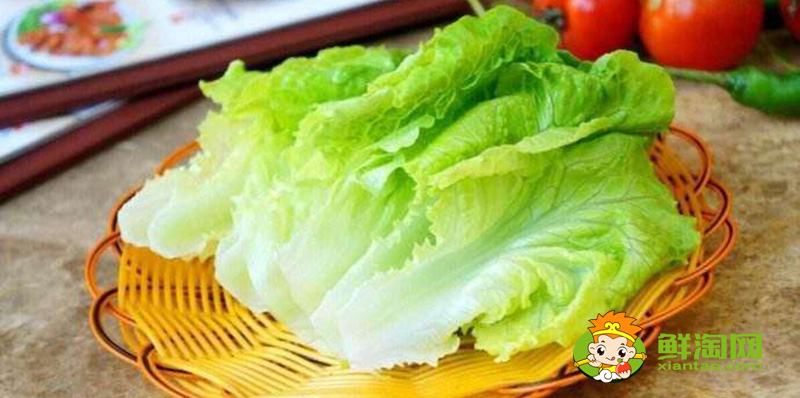生菜的樣子，結(jié)球生菜和生菜的區(qū)別