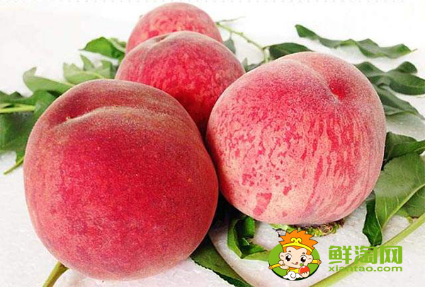 桃子最甜的品種有幾種，中國最甜的桃子含糖量