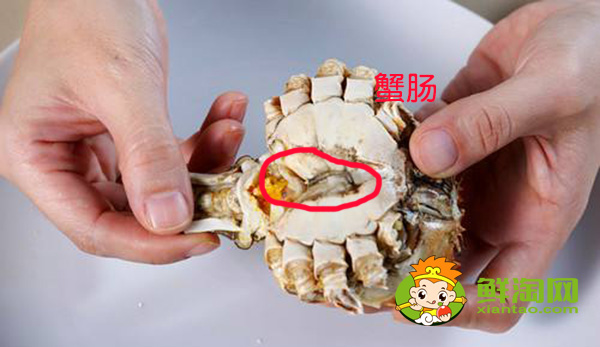 螃蟹哪里不能吃高清圖，螃蟹的吃法剝法圖解