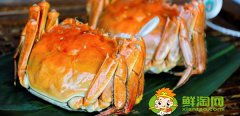 陽澄湖大閘蟹上市季節，陽澄湖大閘蟹什么時候最好吃