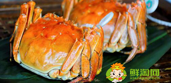 大閘蟹禮券哪個牌子好，盤錦河蟹陽澄湖大閘蟹哪個好吃