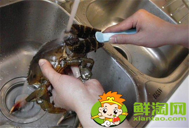 大閘蟹怎么洗才干凈步驟，大閘蟹的做法和吃法