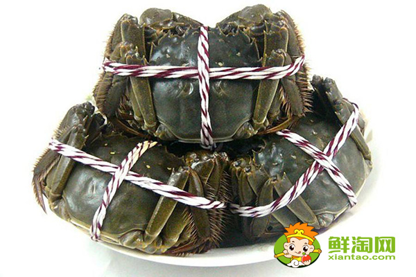 大閘蟹為什么叫大閘蟹，陽澄湖大閘蟹和洪澤湖大閘蟹的區(qū)別