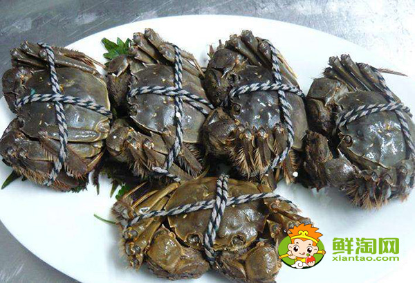 大閘蟹為什么叫大閘蟹，陽澄湖大閘蟹和洪澤湖大閘蟹的區(qū)別
