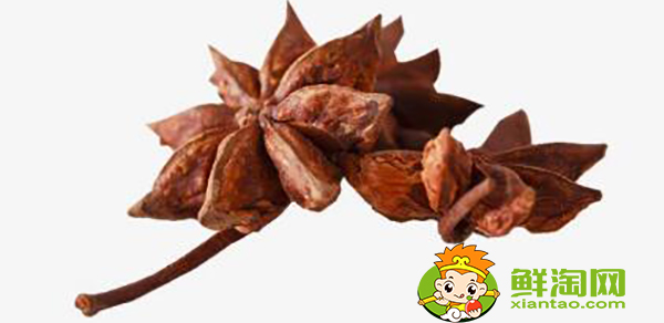 大料和八角是一個東西嗎，大料和八角的區別圖片