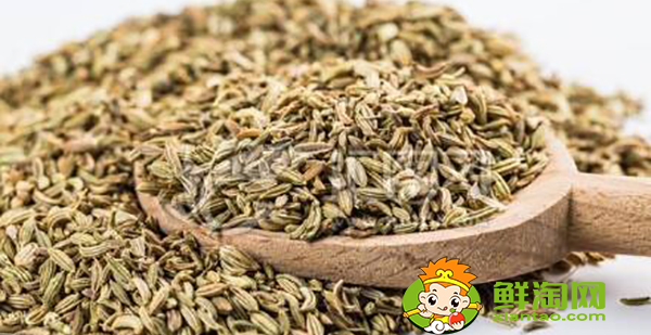 八角茴香怎么挑選，小茴香和八角茴香的區(qū)別