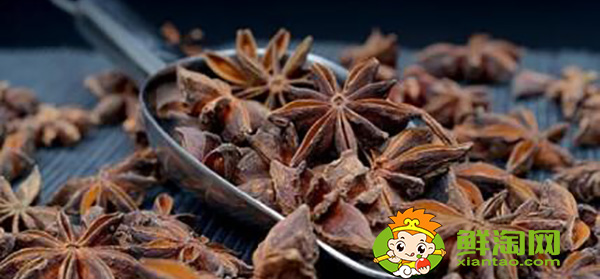 八角茴香怎么挑選，小茴香和八角茴香的區(qū)別