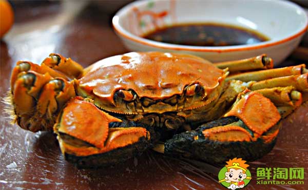大閘蟹與螃蟹有什么區(qū)別,大閘蟹小孩能不能吃