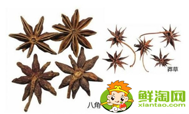 怎樣辨別八角是沒有用過的,如何鑒別八角品質