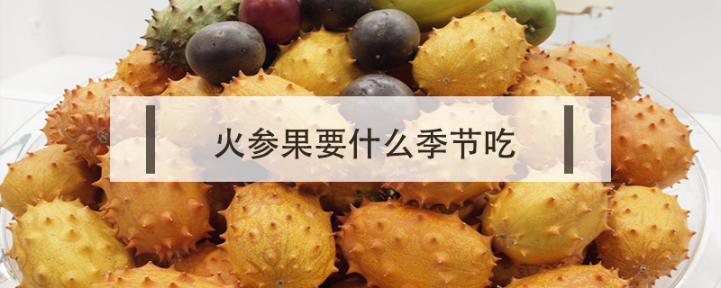 火參果要什么季節(jié)吃