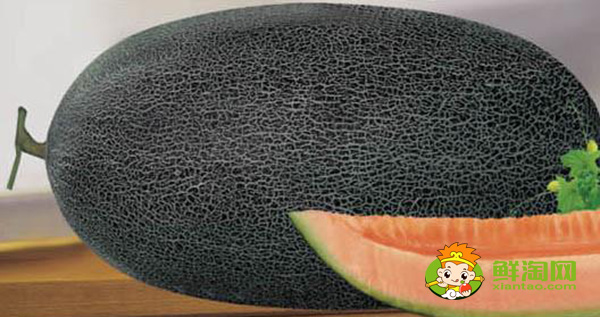 伽師瓜的吃法,伽師瓜都有哪些品種