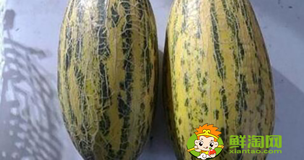 八六王哈密瓜好吃嗎，最好吃的哈密瓜有哪些品種