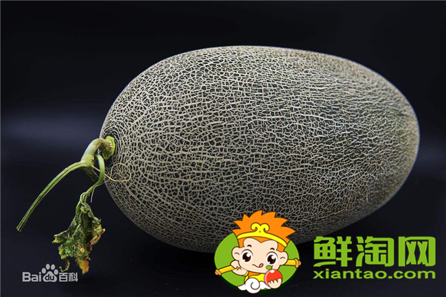哈密瓜沒水分不甜什么原因，長得像哈密瓜的叫什么