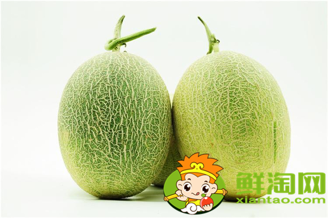 哈密瓜和網紋瓜是一個東西嗎,哈密瓜和網紋瓜的區別