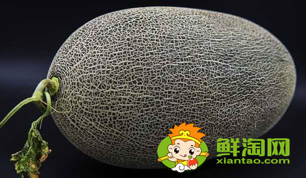 伽師瓜當地人叫什么,巴楚留香瓜與伽師瓜的區別