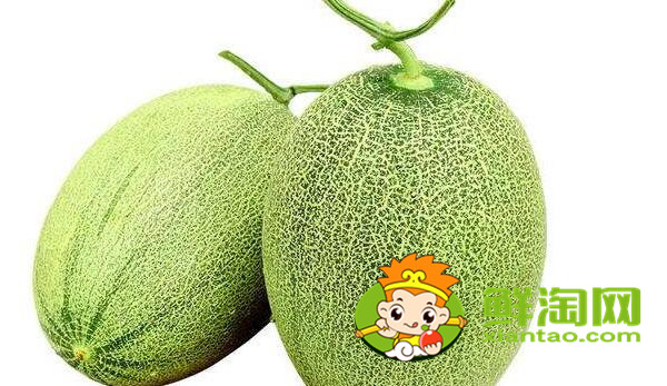 西州蜜瓜如何判斷生熟，怎樣辨別西州蜜瓜熟了