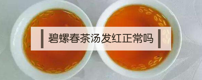 碧螺春茶湯發(fā)紅正常嗎