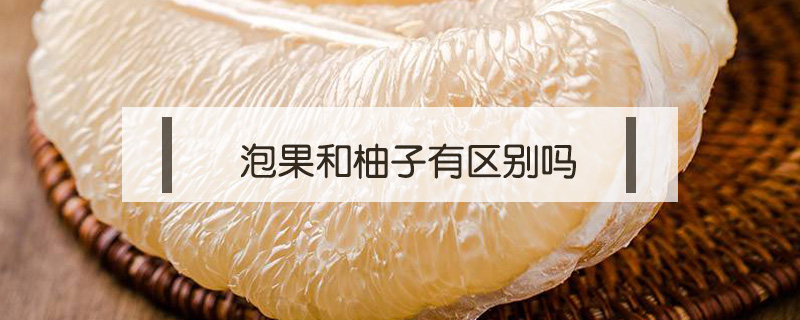 泡果和柚子有區別嗎