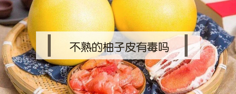 不熟的柚子皮有毒嗎