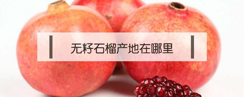 無籽石榴產地在哪里