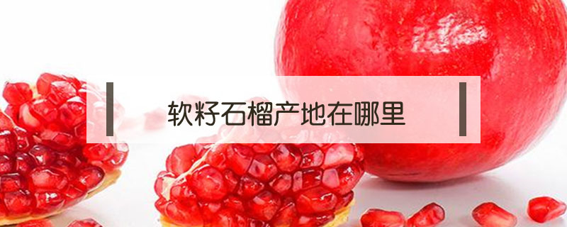 軟籽石榴產地在哪里