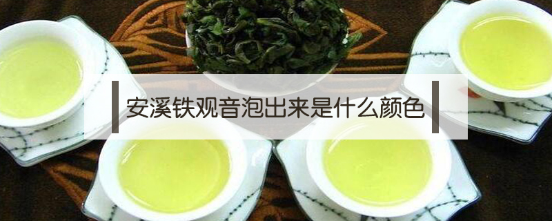 安溪鐵觀音泡出來是什么顏色