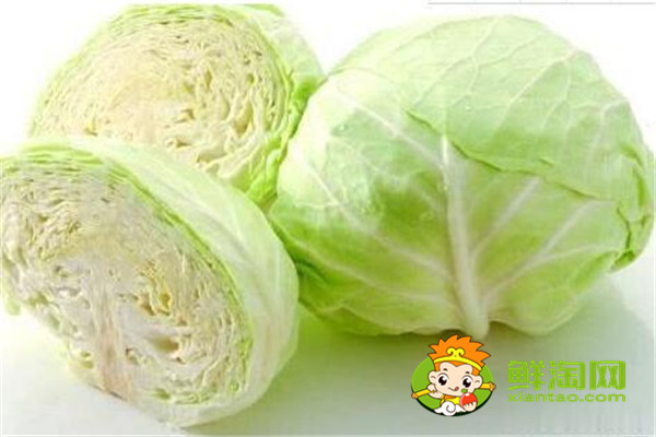 手撕包菜是卷心菜還是椰萊，椰菜和卷心菜怎么區分